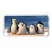 Hoomin Funny Penguins of Madagascar Beach Ipod Touch 5 Cell Phone Cases Cover Popular Gifts(Laster Technology)