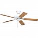 Progress Lighting P2501-30 52-Inch Fan with 5 Blades and 3-Speed Reversible M. . .