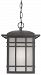 Quoizel HC1909IBFL Hillcrest 1-Light Energy Saving Outdoor Hanging Lantern, I. . .