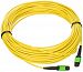 C2G / Cables to Go 31403 MTP 9/125 Single-Mode Fiber Assembly Ribbon Cable (20 Meter, Yellow)