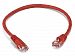 Monoprice 1-Feet 24AWG Cat5e 350MHz UTP Bare Copper Ethernet Network Cable, Red (102128)