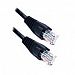 Axis 43020 Cat-6 Patch Cables, 30.48 Meters (Black)