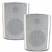Theater Solutions TS5ODW Indoor/Outdoor Speaker, White