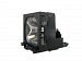 Powerwarehouse-Projector Lamp Sony Vpl Px11 200-Watt 2000-Hrs Uhp (Replacement)