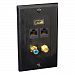 Pyle-Home PHDM2RB2 Combination Audio Video Wall Plate for HDMI Mono RCA Audio Coaxial and Dual Ethernet, Black