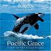 Pacific Grace Spirit Of The