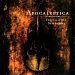 Anderson Merchandisers Apocalyptica - Inqusition Symphony