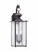 8883EN-08 - Sea Gull Lighting - Jamestowne - Two Light Outdoor Wall Lantern Textured Rust Patina Finish with Clear Beveled Glass - Jamestowne