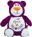 Personalized Stuffed Purple Bear, Embroidered for Child's First Halloween