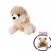 Cute Small Dog Cloth Doll Pet Dog Plush Toys Gift Set(1pc, 13cm/5.1in)