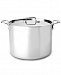 All-Clad Stainless Steel 12 Qt. Covered Stockpot