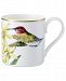 Villeroy & Boch Serveware, Amazonia After Dinner Cup