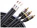 Monster MV3CV-2M Component Video Cables (2 meters)