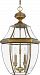 Quoizel NY1180A Newbury 4-Light Outdoor Hanging Lantern, Antique Brass