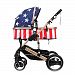 Qianle Baby Kids Pram High-view Foldable Pushchair Stroller Buggy America