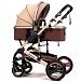 TZ Luxury Newborn Baby Foldable Anti-shock High View Carriage Infant Stroller Pushchair (golden) by Belecoo