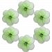 The Butterfly Grove Katie Mini Flower Decoration 3D Hanging Mesh Nylon Decor, Green Honeydew, Mini, 2x 2 by The Butterfly Grove