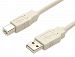 StarTech. com Beige A to B USB 2.0 Cable, M/M