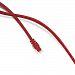 GearIT 7 Feet Cat 6 Ethernet Cable Cat6 Snagless Patch - Computer LAN Network Cord, Red [Lifetime Warranty]