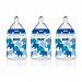 NUK 62743 Elephants Baby Bottle with Perfect Fit Nipple, 5 Ounces, 3 Pack