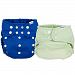 Gerber 2 Piece It's a Snap All-in-One Cloth Diaper, Blue/Green