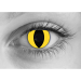 Yellow Cat Halloween Contact Lenses
