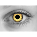 Zombie Undead Yellow Halloween Contact Lenses
