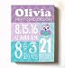 Personalized Stretched Canvas Birth Announcement Gift, Custom Baby Name, Date, Weight Stats, Newborn Owl Nursery Wall Art Decor, High Quality 100% Wooden Frame Construction, Ready To Hang 12X16