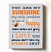 Adorable You Are My Sunshine Bedtime Story Rhyme - Lovebird Design - Stretched Canvas Nursery Wall Art Decor - Baby Gift idea - High Quality 100% Wooden Frame Construction - Ready To Hang 16X20