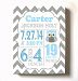 Personalized Stretched Canvas Birth Announcement Gift, Custom Baby Name, Date, Weight Stats, Newborn Nursery Owl Wall Art Decor, High Quality 100% Wooden Frame Construction, Ready To Hang 16X20