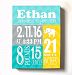 Personalized Stretched Canvas Birth Announcement Gift, Custom Baby Name, Date, Weight Stats, Newborn Elephant Nursery Wall Art Decor, High Quality 100% Wooden Frame Construction, Ready To Hang 8X10