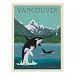 Vancouver Island | Killer Whales Postcard