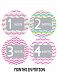 Months in Motion 129 Monthly Baby Stickers Milestone Age Sticker Photo Prop