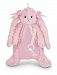Bearington Baby PACIFIER PET Plush Animal with Pacifier Tether and Pouch (Pink Cottontail Bunny)
