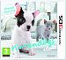 Nintendogs + Cats: French Bulldog & New Friends (Nintendo 3DS) by Nintendo