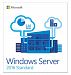 Microsoft Window Server CAL 2016 English 1 Pack DSP OEI 5 Clt User CAL Server 2016