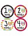 Months in Motion 342 Monthly Baby Stickers Baby Girl Milestone Sticker Owls