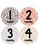 Months in Motion 351 Monthly Baby Stickers Baby Girl Months 1-12 Giraffe Print