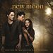 Twilight Saga: New Moon (Vinyl)