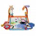 Fisher-Price Discover 'n Grow Open Play Musican Gym