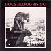 Dogs Blood Rising by Current 93 (2008) Audio CD