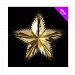 Theme Machine Foil Starburst Decorations (Pack of 12) (One Size) (Gold)
