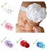 Roewell Baby-Girls' Hair Bows, Crystal Flower (5 Pack)