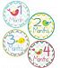 Baby Girl Bird Monthly Onesie Sticker with Chevron Pattern - Waterproof and Durable - Includes 1-12 Month Stickers