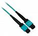 RiteAV - MTP 10Gb 50/125 OM3 Multimode Fiber Optic Cable Plenum (OFNP) 12 Fiber - 5 Meter Male to Female Type A