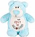 Personalized Stuffed Blue Bear, Embroidered for Child's First Halloween