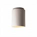 CER-6100W-CRK - Justice Design - Flush-mount Cylinder Outdoor White Crackle Finish (Glaze)Glazed - Radiance