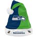 Seattle Seahawks NFL Santa Hat