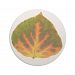 Green Orange & Yellow Aspen Leaf #1 Coaster