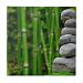 Zen Garden Meditation Monk Stones Bamboo Rest Ceramic Tile